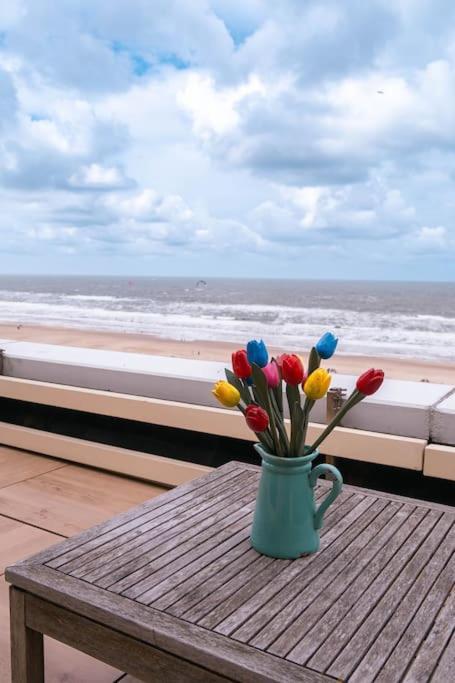Ferienwohnung Kraaiennest Egmond aan Zee Exterior foto